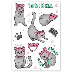 cartela de adesivos tokinha