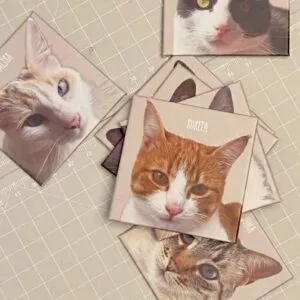 imã personalizado