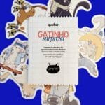 gatinho surpresa